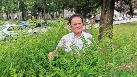 Boris Nikolić-Malora nositelj liste BUZ-a u IX izbornoj jedinici