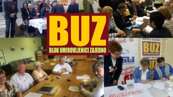 BUZ na lokalnim izborima 2017.