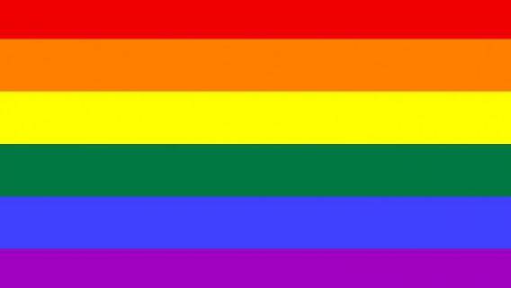 Gay Pride radi prava ili provokacije?!