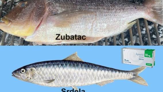 Neki biraju zubatca, neki srdele...