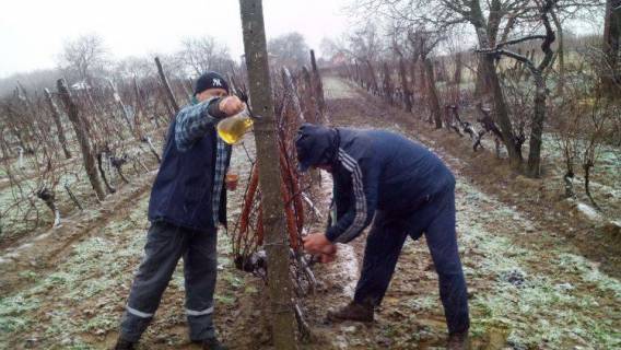 Vince&scaron;ka 24.01.2015. Baranja, mjesto Kneževi vinogradi, druženje članova BUZ-a, koalicijskih partnera i simpatizera.